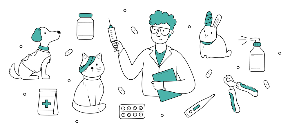 Veterinarios en USA | Cínica Veterinaria Estados Unidos